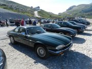 jaguar alle tre cime di lavaredo (10/26)